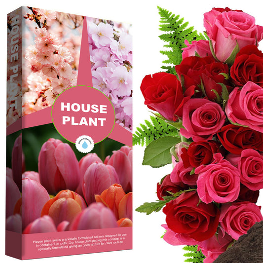 House Plant Compost Ideal For Indoor & Outdoor House Plants With Added Nutrients