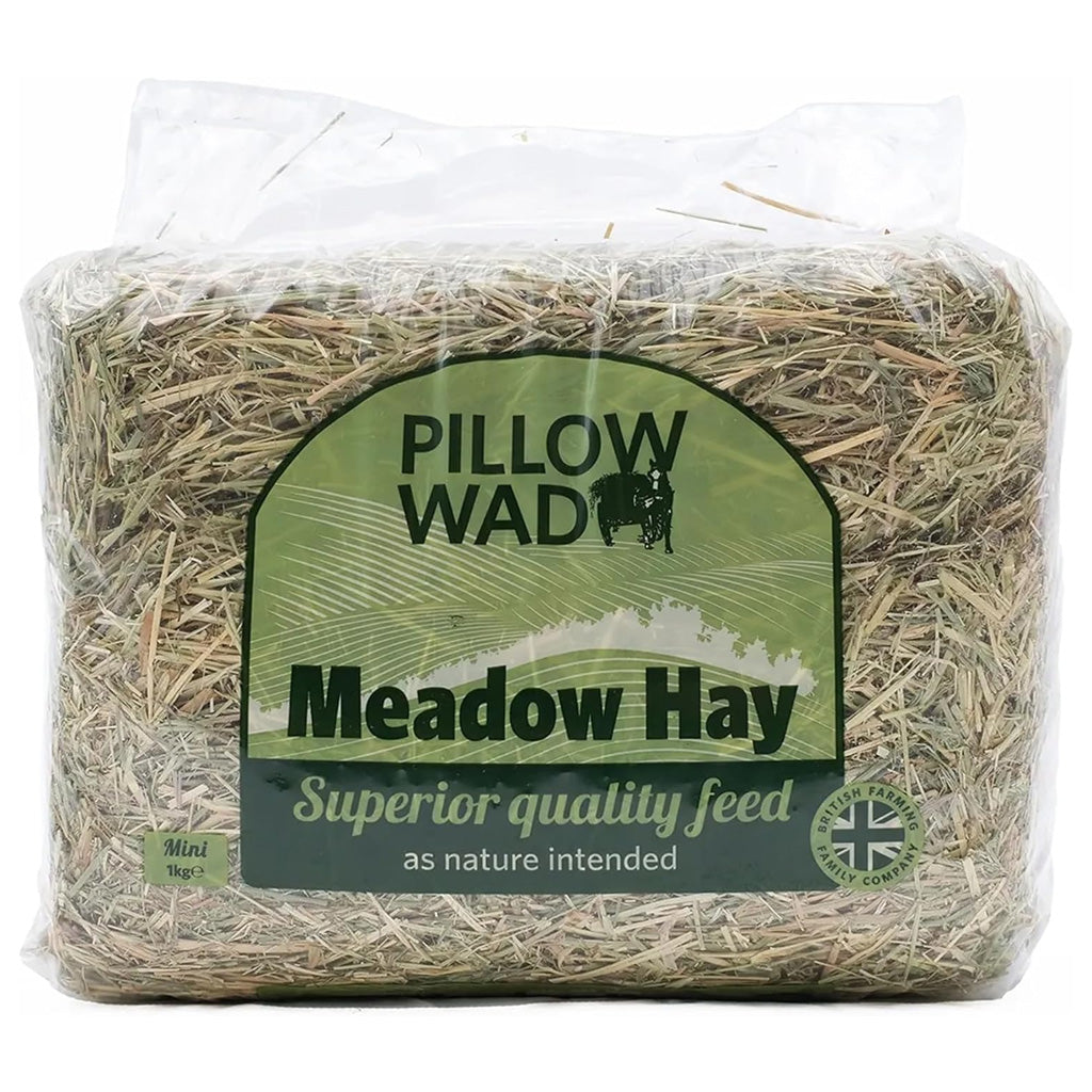 Fresh Meadow Hay For Small Animals Natural Feed Dried Grass