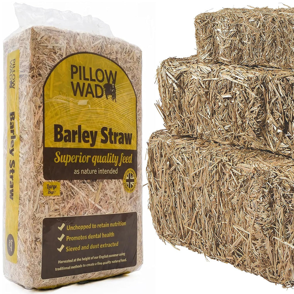 Barley Straw Bedding Unchopped Soft Animal Bedding For Chickens, Rabbits & Tortoise