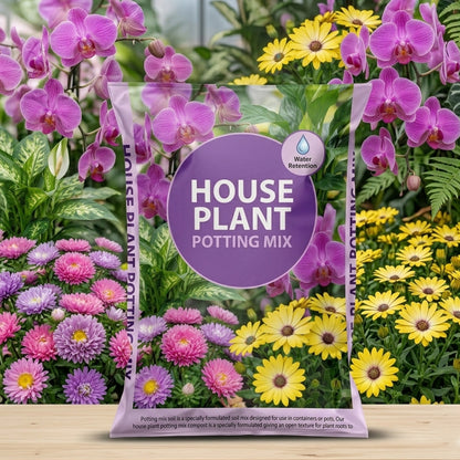 House Plant Potting Mix Compost Perfect For Indoor House Plants With Seaweed Extract