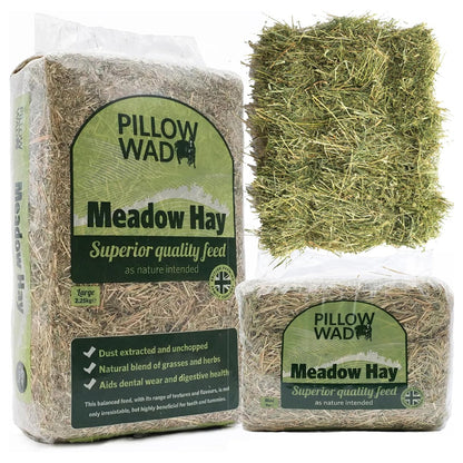 Fresh Meadow Hay For Small Animals Natural Feed Dried Grass
