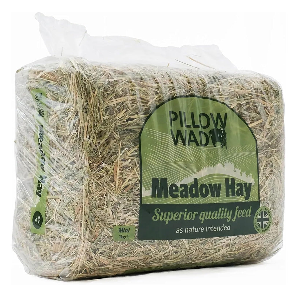 Fresh Meadow Hay For Small Animals Natural Feed Dried Grass