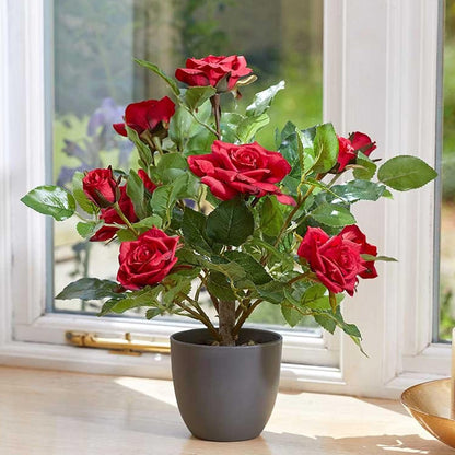 Regents 40cm Potted Artificial Roses in Ruby Red, Perfect Pink & Pure White
