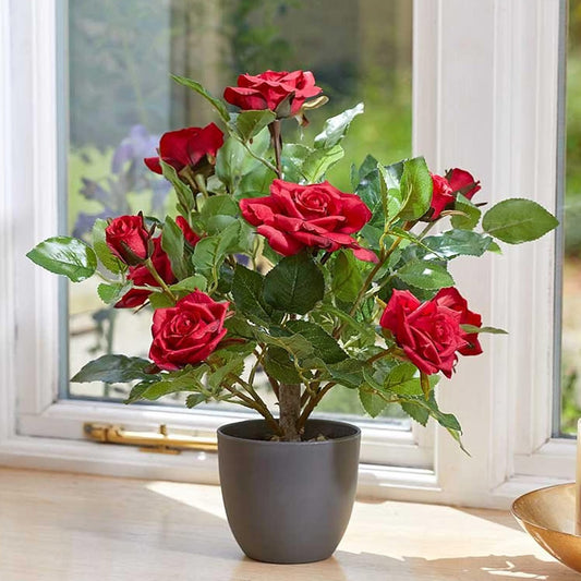 Regents 40cm Potted Artificial Roses in Ruby Red, Perfect Pink & Pure White