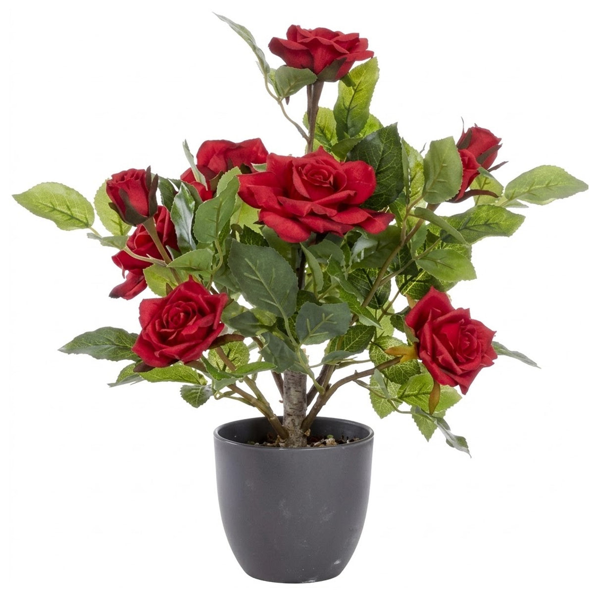 Regents 40cm Potted Artificial Roses in Ruby Red, Perfect Pink & Pure White