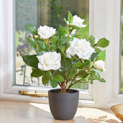 Regents 40cm Potted Artificial Roses in Ruby Red, Perfect Pink & Pure White