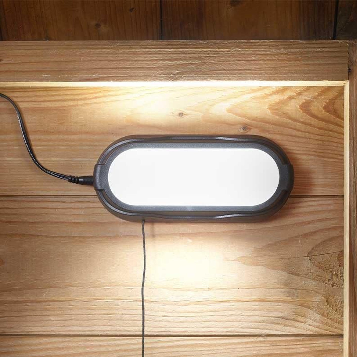 Solar Shed Light 50 Lumen Indoor Outdoor Waterproof Chandelier with Pull Cord